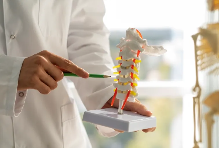 Orthopedics